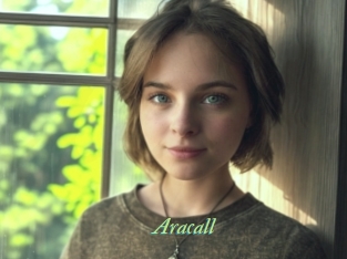 aracall Tel Coquin