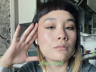 Aracarvell