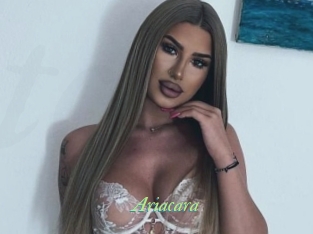 Ariacara