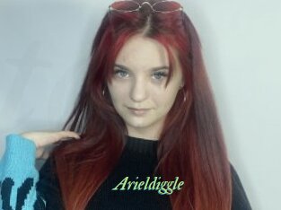 Arieldiggle