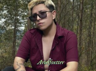 Arielfoxtter