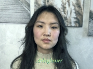 Arleighesser