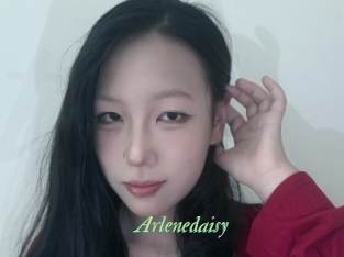 Arlenedaisy