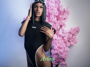 arlinn Tel Coquin