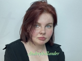 Audreyhollander
