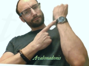 Avalonadonis
