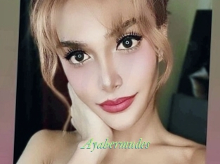 Ayabermudes