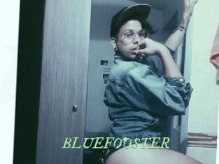 BLUEFOOSTER