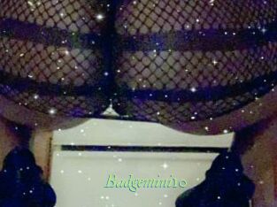 Badgemini10