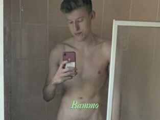 Bammo