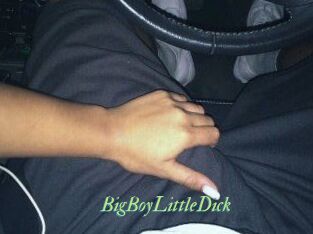 BigBoyLittleDick