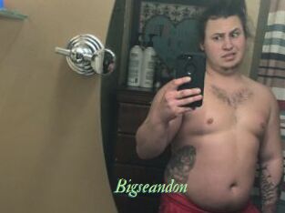 Bigseandon