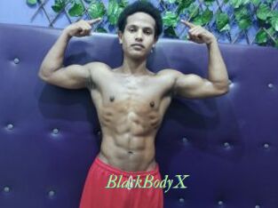 BlackBodyX