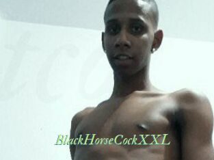 BlackHorseCockXXL