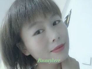 Bunnyhere