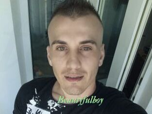 Beautyfulboy