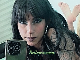 bellapoisonous Tel Coquin