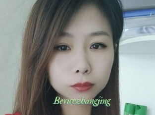 Bericezhangjing