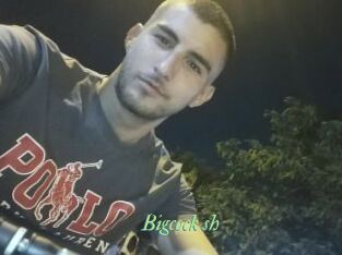 Bigcock_sh