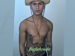 Bigdicksnake