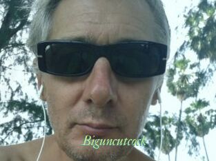 Biguncutcock