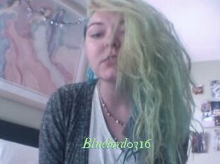 Bluebird0316