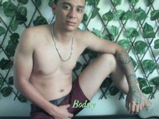 Bodsey