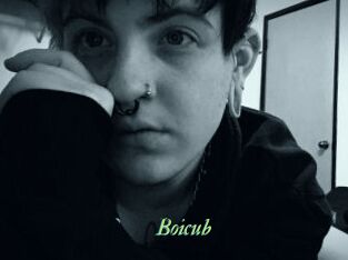 Boicub