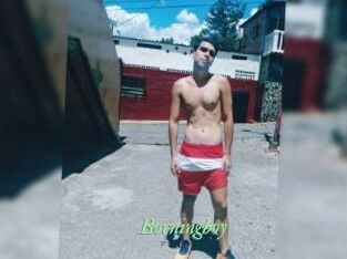 Borningboy