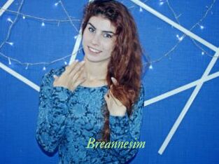 Breannesim