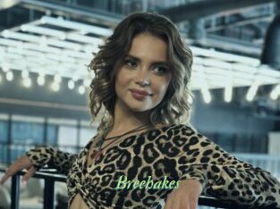 Breehakes