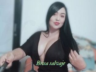Brisa_salvaje