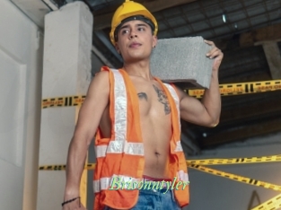 Brisonntyler