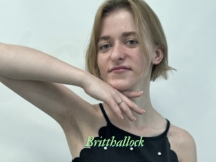 Britthallock