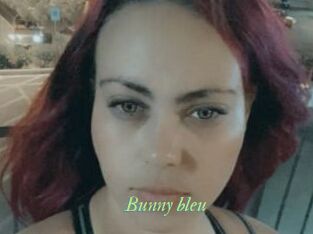 Bunny_bleu