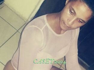 CASEY2004