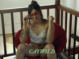 CATWILD