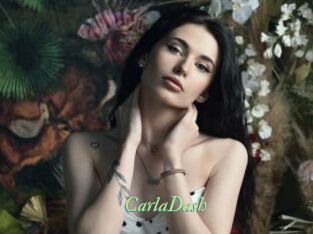 CarlaDash