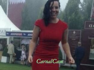 CarnalCam