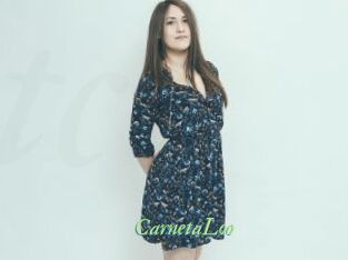 CarnetaLoo