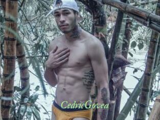 CedricGovea