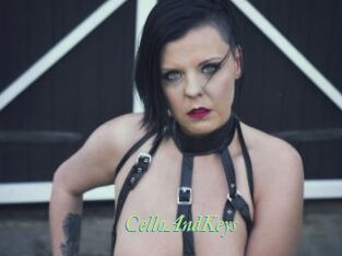 CelloAndKeys