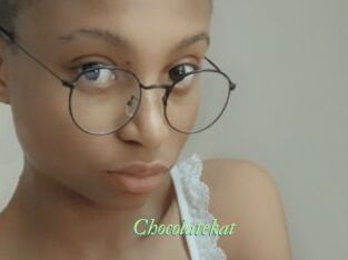 Chocolatekat
