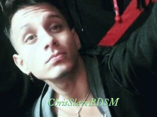 ChrisSlaveBDSM