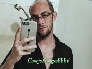 ConejoDragon8886