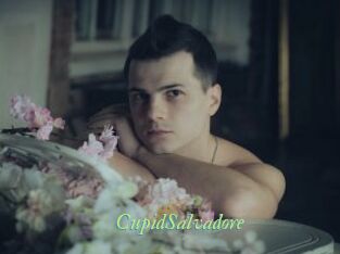 CupidSalvadore