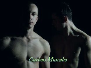 Curious_Muscules