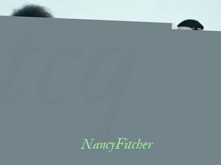 NancyFitcher