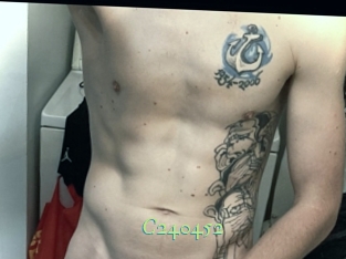 C240452