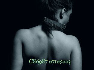 C86987-07105003